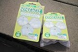 【秋植え球根】種 ニンニク：ホワイト種ニンニク300g入り 2袋セット【送料無料】