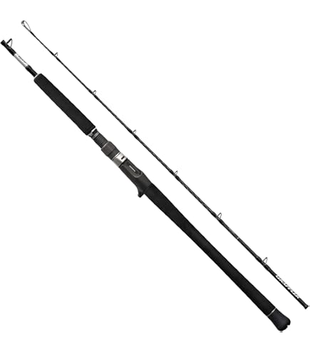 Amazon | シマノ(SHIMANO) オフショアロッド 25 グラップラー タイプC