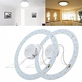ILS - 18W 36 LED White/Warm White Panel Circle Annular Practical Efficient Ceiling Light
