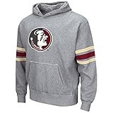 Florida State Seminoles NCAA「ボルト」プルオーバーフード付きVintage Sweatshirt – グレー グレイ