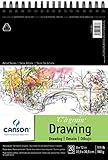 Artist Series 1557 C A Grain Drawing 9X12 by Canson