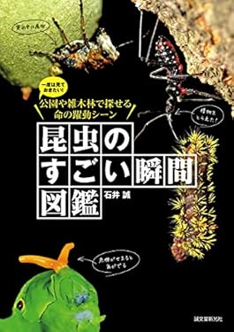 昆虫のすごい瞬間図鑑：一度は見ておきたい！公園や雑木林で探せる命の躍動シーン