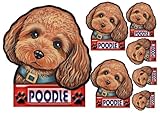 犬ステッカー トイプードル1 シール