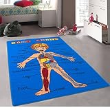Championラグキッズ/ベビールーム/ Daycare /教室/ Playroomエリアラグ。ボディパーツ。科学。Anatomy。楽しい。教育。ノンスリップジェルBack。ブルー。明るくカラフルな