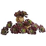 Nearly Natural 6105-BG-S12 Echeveria Succulent, 6-Inch, Burgundy, Set of 12 [並行輸入品]