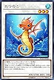 たつのこ スーパーレア 遊戯王 レアリティコレクション 20th rc02-jp028