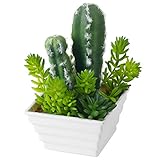 装飾人工植物サボテンホワイトで正方形リブ編みセラミックプランターポット
