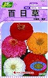 カネコ種苗 草花タネ772 百日草 中輪咲き 混合 10袋セット