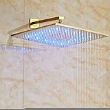 votamuta Large Rainfall 16インチシャワーヘッドGolden仕上げオーバーヘッドトップSprayer Noシャワーアーム