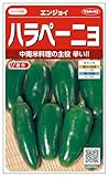 【種子】とうがらし ハラペーニョ 0.7ml