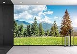 wall26 – 自己粘着壁紙大壁壁画シリーズ 100"x144" WMR-WP-X-C695-100x24x6