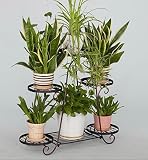 花スタンド屋内 ironArt Flower Rack屋内バルコニーの6層の防錆プラントスタンド (色 : ブロンズ)