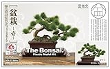 プラッツ 1/12 ザ・盆栽 壱 w/エッチング製剪定鋏 プラモデル BON-01SP