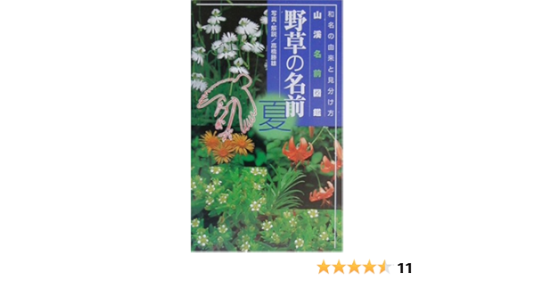 野草の名前 夏 和名の由来と見分けかた 山渓名前図鑑 高橋 勝雄 本 通販 Amazon