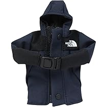 ザノースフェイス ミニマウンテン ジャケット \"ライトブルー\" THE NORTH FACE MOUNTAIN LIGHT JACKET モントレーブルーx