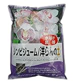 グリーンプラン 培養土 シンビジューム・洋ランの土5L