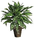 Nearly Natural 6615 Silver King with Basket Decorative Silk Plant, Green [並行輸入品]