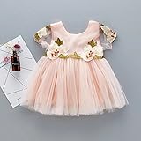 夏ベイビー服 女の子ワンピース Pojour キッズ用かわいい刺繍ドレス 子供ギフト 綿 通気 ピンク（80cm）