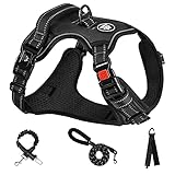 NESTROAD 犬 ハーネス＆リードセット ドッグシートベルト＆バッグフック付き 犬用胴輪 調節可能 夜間反射 小型犬/中型犬/大型犬 通気性 メッシュ 歩行補助 散歩 しつけ用 軽量 安全 おしゃれ 引っ張り防止 ドッグ 訓練 柴犬 秋田犬 (ブラック, XL)