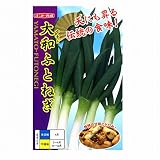 ナント種苗 大和太葱(ネギ)