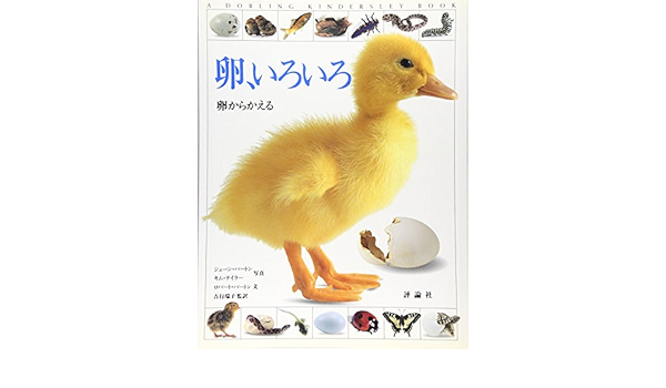 卵 いろいろ 卵からかえる 児童図書館 科学の部屋 ロバート バートン Robert Burton Jane Burton Kim Taylor ジェーン バートン キム テイラー 吉行 瑞子 本 通販 Amazon 卵 いろいろ 卵からかえる 児童図書館 科学の部屋 ロバート バートン Robert Burton Jane Burton Kim Taylor ジェーン バートン キム テイラー 吉行 瑞子 本 通販 Amazon