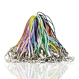 [LUYING] キーホルダー 紐 キーホルダー 金具 ストラップ カニカン フック付き カラフル 100本セット ストラップ 自作 DIY 金具 USBメモリ糸装飾用紐