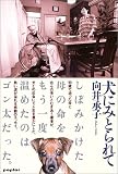 犬にみとられて
