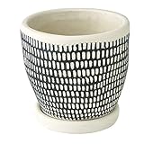 SPICE プランター ドットライン ブラック レリーフ CCGH1820BK