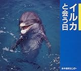 イルカと会う日