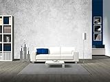 wall26 自己粘着式壁紙 ラージ 壁画シリーズ 100"x144" WMR-WP-X-C583-100x24x6