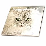 3drose Sven Herkenrath動物 – 猫と青い目 – タイル 4-Inch-Ceramic ct_234239_1