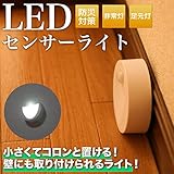 LED人感センサーライト電池式 明るい 小型 高輝度 常夜灯 足元灯 屋内 玄関 寝室 廊下