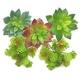 多肉植物, Pietypet 園芸用品 人工多肉植物 人工観葉植物 光の楽園 - 5個