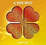 A SIDE SPLIT Vol.4 �`sunrise field�`(ANSWER/��������/����Ƃ�̖�̉S/answer)
