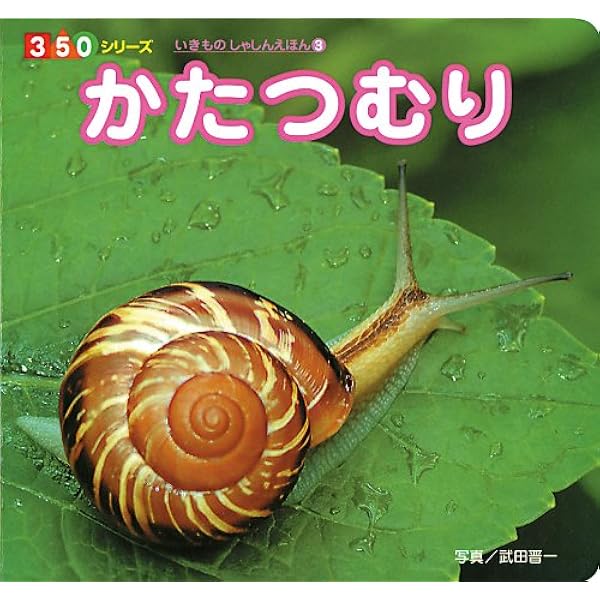 かたつむり 350シリーズ いきものしゃしんえほん 晋一 武田 本 通販 Amazon