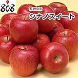 長野県産【ワケ有り】大きさお任せ シナノスイート 約8kg ご家庭用/リンゴ/訳あり/訳ありりんご/シナノスウィート