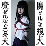 ���[���Ȃł��L��