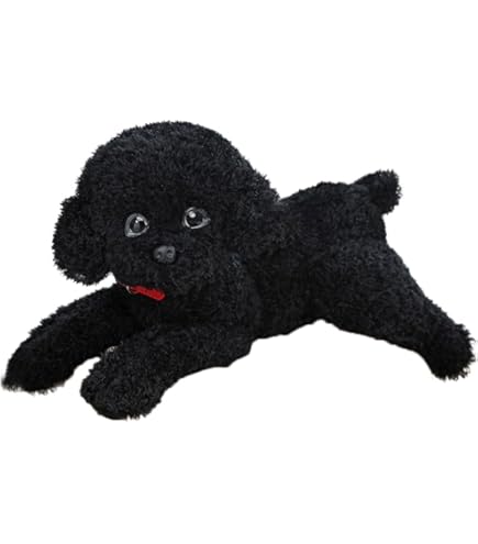 Amazon.co.jp: ニニアンドキノ スタンダードプードル 白