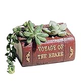 BOBORA　文学本　ブック　小さな植木鉢　家庭用品　園装飾