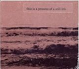 This Is a Process of a Still Life