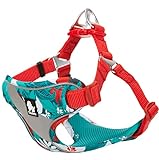 cocomall 負担軽減犬用ハーネス 犬用胴輪 ドッグ ペット用品 お出かけハーネス 3M反射材料 訓練 ナイロン製 小型犬、中型犬、大型犬に向け 通気性 調節可能 おしゃれ (M, blue&red)