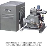 イワヤ深井戸用ポンプ JQS-601-50 [50Hz用/単相100V/出力600W] ※砲金ジェットなし・圧力タンク なし