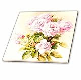 3dRose ct_151447_4 Paul De Longpre Shabby Chic Vintage Pink Roses Sun-Faded Antique Flowers Fine Art