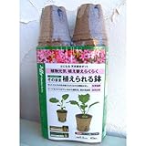 ジフィーポット丸型5.5cm　240個入り[中粒の種まきに！そのまま植えられる鉢・育苗ポット] ノーブランド品