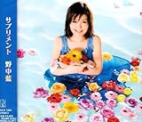 �T�v�������g