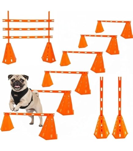 Amazon | 【JKC公認訓練士 推奨】犬用 アジリティ スラローム 障害物
