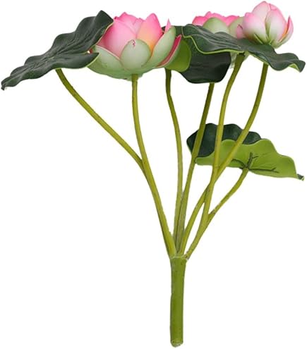 Amazon.co.jp: 入手困難 蓮の花紙 蓮紙 蓮ワーク 8色、計24束 : ホーム