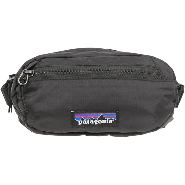 Amazon | パタゴニア patagonia ウルトラライト・ブラックホール・ミニ