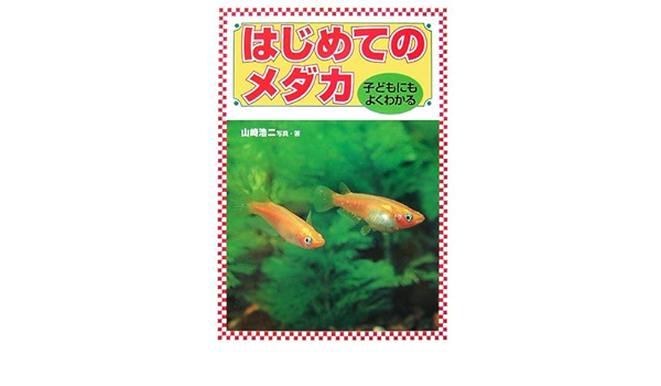 子どもにもよくわかるはじめてのメダカ 山崎 浩二 本 通販 Amazon