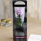 プリザーブドフラワー　ショート　Rose　ラベンダー（黒パケ）【FL072-14】＜開業祝い　開店祝い　開院祝い　リニューアルオープン祝いに＞